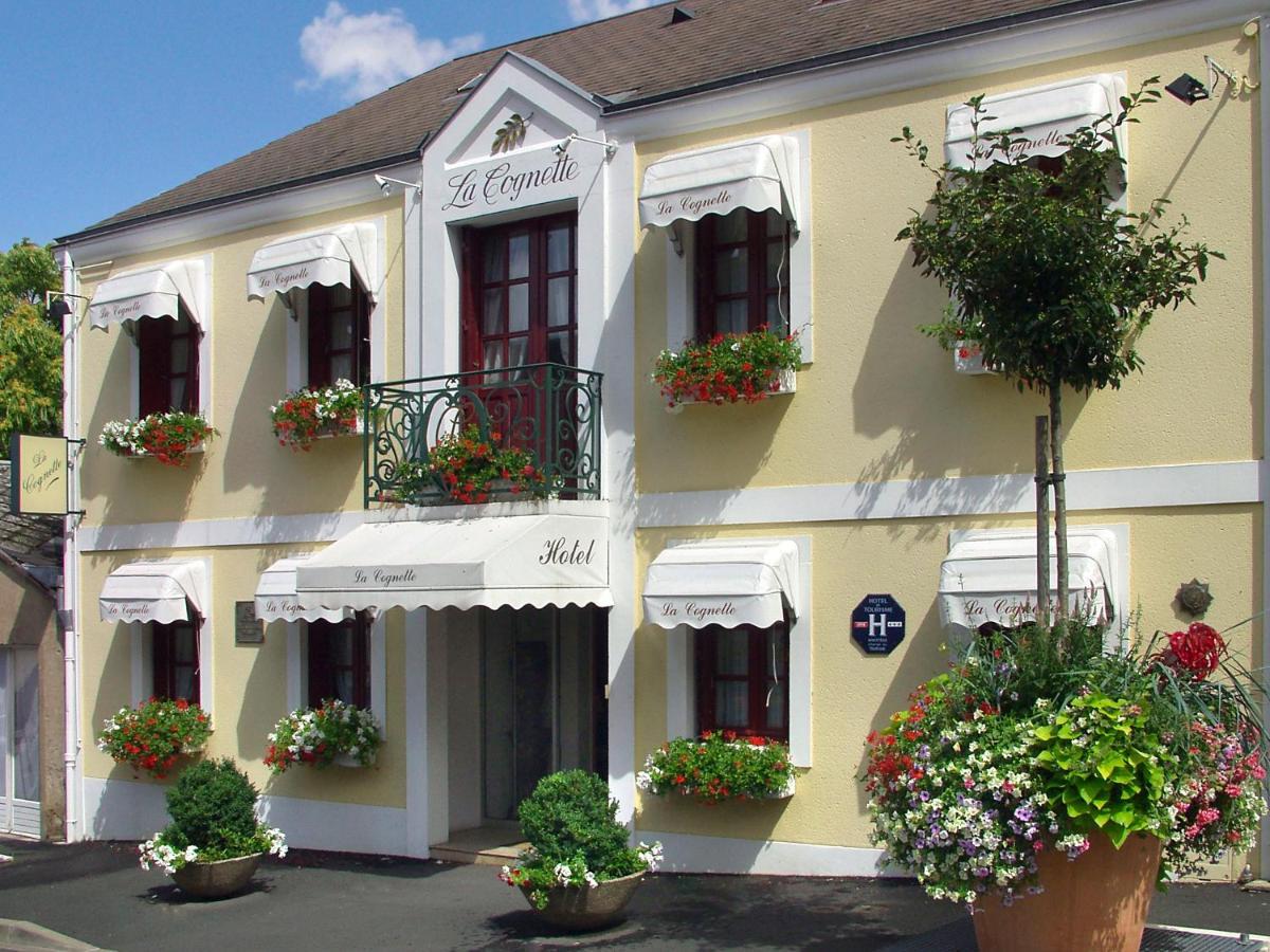 Hotel La Cognette A 25 Kilometres De Chateauroux Et 30 Kilometres De Bourges Issoudun Bagian luar foto